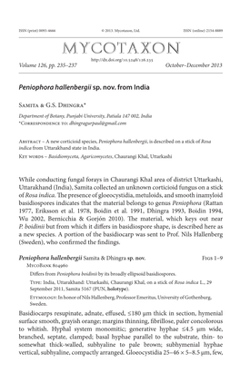 &lt;I&gt;Peniophora Hallenbergii&lt;/I&gt; Sp. Nov. from India