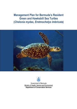 Resident Sea Turtle Management Plan