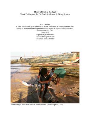 Shark Fishing and the Fin Trade in Ghana: a Biting Review