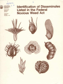 Identification of Disseminuies Listed in the Federal Noxious Weed