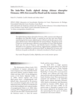 The Indo-West Pacific Alpheid Shrimp Athanas Dimorphus Ortmann, 1894: First Record for Brazil and the Western Atlantic