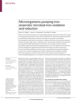 Anaerobic Microbial Iron Oxidation and Reduction