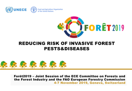 Reducing Risk of Invasive Forest Pests&Diseases