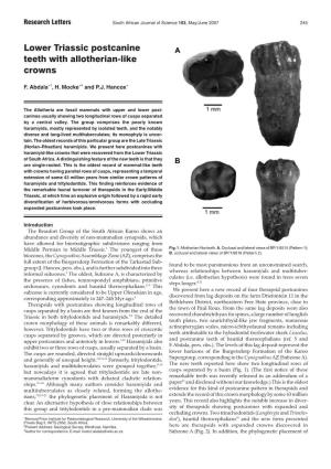 Lower Triassic Postcanine Teeth with Allotherian-Like Crowns