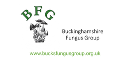 Buckinghamshire Fungus Group 2019