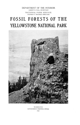 Fossil Forests of the Yellowstone National Park