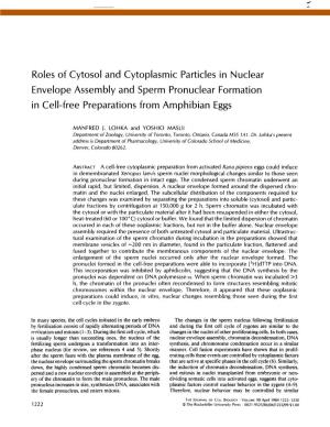 Roles of Cytosol and Cytoplasmic Particles in Nuclear Envelope Assembly and Sperm Pronuclear Formation in Cell-Free Preparations from Amphibian Eggs