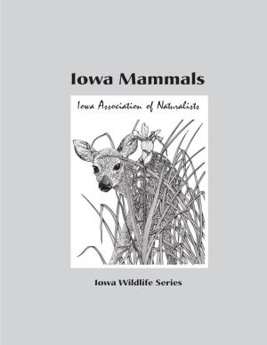 Iowa Mammals