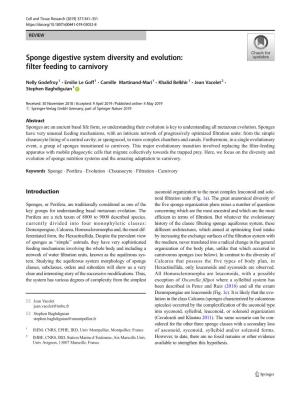 Sponge Digestive System Diversity and Evolution: Filter Feeding to Carnivory
