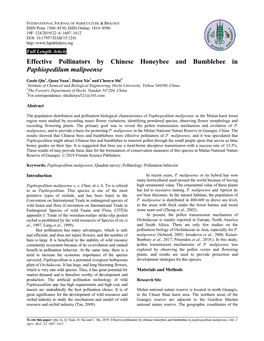 Effective Pollinators by Chinese Honeybee and Bumblebee in Paphiopedilum Malipoense