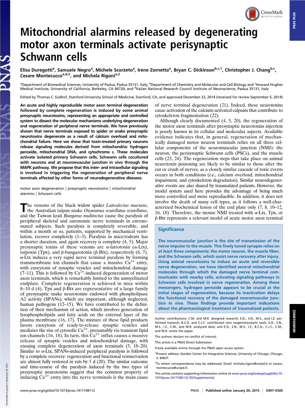 Mitochondrial Alarmins Released by Degenerating Motor Axon Terminals