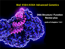 Lecture6'21 DNA Replication