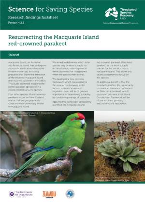 4-2-3-Macquarie-Island-Parakeets