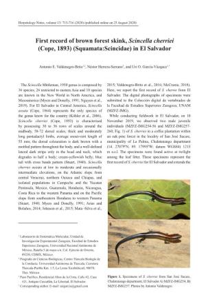 First Record of Brown Forest Skink, Scincella Cherriei (Cope, 1893) (Squamata:Scincidae) in El Salvador