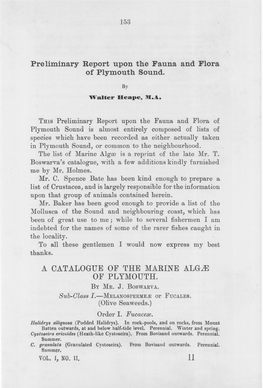 Preliminary Report Upon the Fauna ~Nd Flora of Plymouth Sound. a OATALOGUE of the MARINE ALG1E of PLYMOUTH