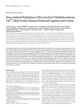 Stress-Related Methylation of the Catechol-O-Methyltransferase Val158 Allele Predicts Human Prefrontal Cognition and Activity