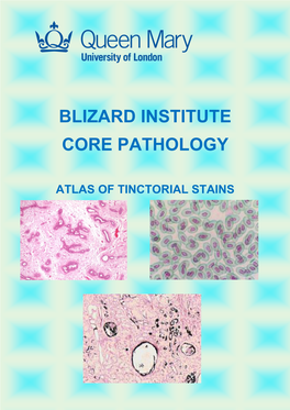 Blizard Institute Core Pathology Atlas of Tinctorial Stains