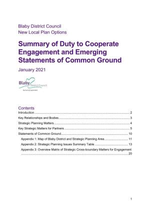Summary of Duty to Co-Operate Engagement Statement