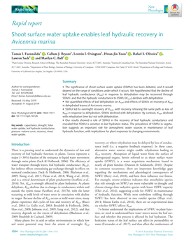 Shoot Surface Water Uptake Enables Leaf Hydraulic Recovery in Avicennia Marina