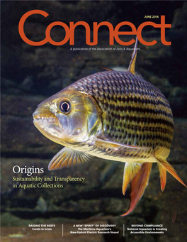 Origins Sustainability and Transparency in Aquatic Collections