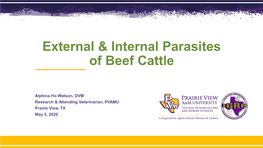 External & Internal Parasites of Beef Cattle
