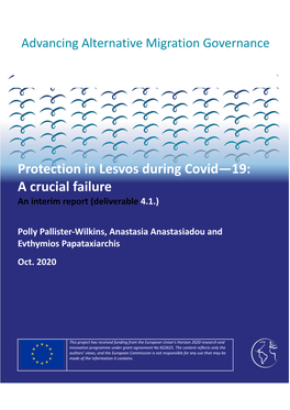 Protection in Lesvos During Covid—19: a Crucial Failure an Interim Report (Deliverable 4.1.)