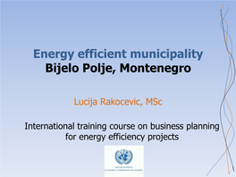 Energy Efficient Municipality Bijelo Polje, Montenegro