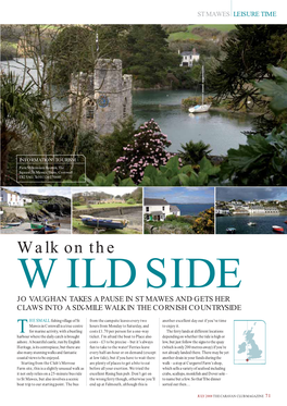 Walk on the WILDSIDE JO VAUGHAN TAKES a PAUSE in ST MAWES and GETS HER CLAWS INTO a SIX-MILE WALK in the CORNISH COUNTRYSIDE