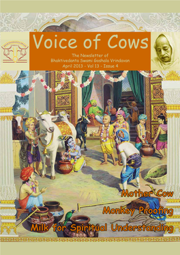 Voice of Cows the Newsletter of Bhaktivedanta Swami Goshala Vrindavan April 2013 - Vol 13 - Issue 4