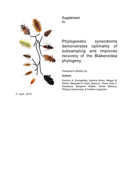 Phylogenetic Synecdoche Demonstrates Optimality of Subsampling and Improves Recovery of the Blaberoidea Phylogeny