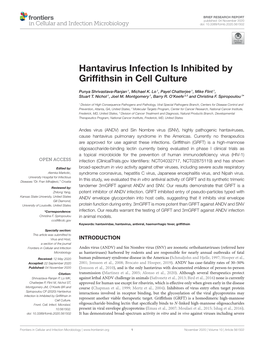 Hantavirus Infection Is Inhibited by Griffithsin in Cell Culture