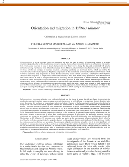Orientation and Migration in Talitrus Saltator