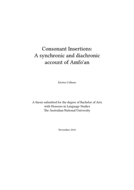 Consonant Insertions: a Synchronic and Diachronic Account of Amfo'an