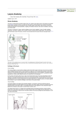 Larynx Anatomy