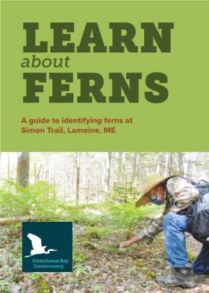 View the Fern Guide