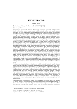 Encalyptaceae.Pdf (2012) Including Antarctica, and Two Species Are Endemic to South America