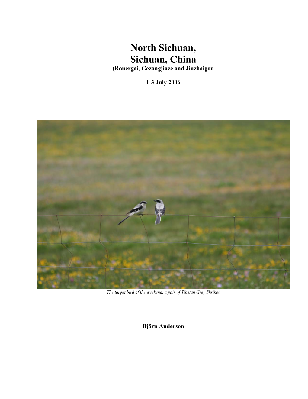 China Birding Report Template