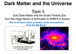 Cold Dark Matter and the Exotic Particle