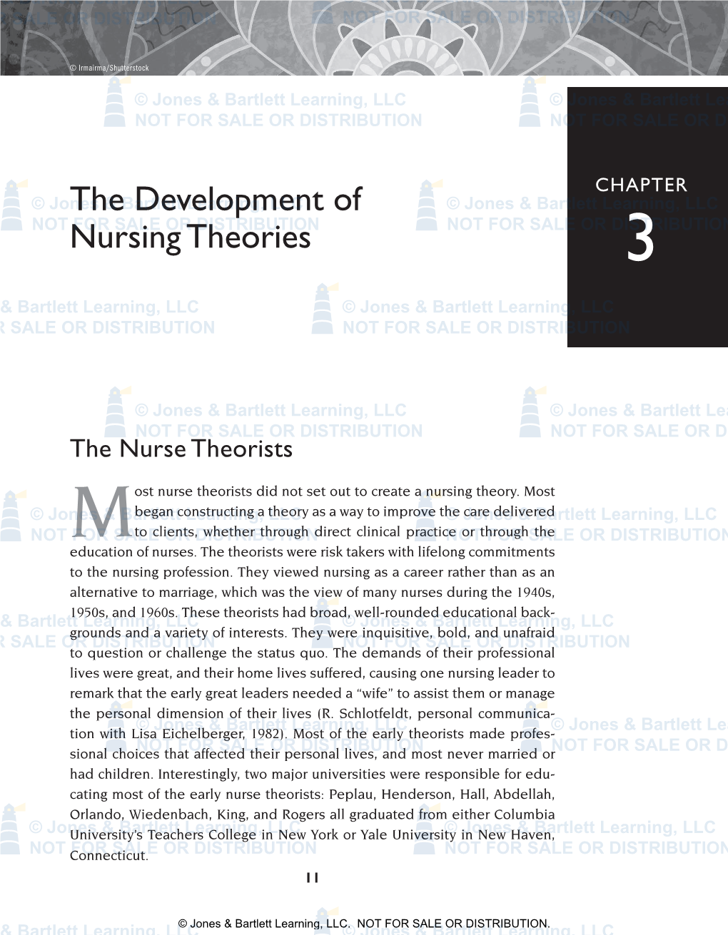 The Development of Nursing Theories