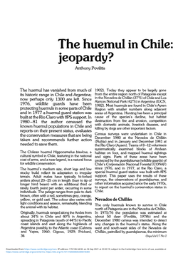 The Huemul in Chile: National Symbol in Jeopardy?