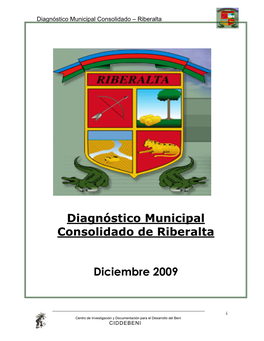 Diagnóstico Municipal Consolidado De Riberalta Diciembre 2009