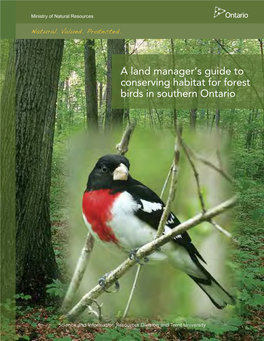 A Land Manager's Guide to Conserving Habitat for Forest Birds in Southern