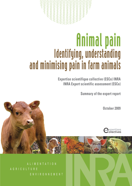 Animal Pain Identifying, Understanding and Minimising Pain in Farm Animals