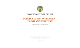 Public Sector Investment Programme Report