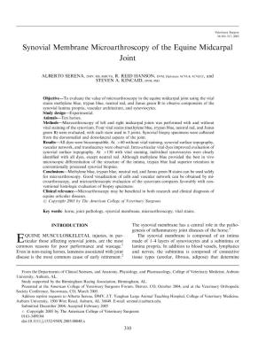 Synovial Membrane Microarthroscopy of the Equine Midcarpal Joint