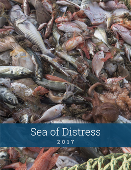 Sea of Distress 2017