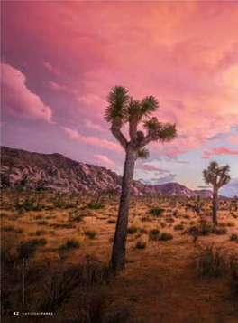 42 NATIONALPARKS Cosmic Vibes Abound Gram Parsons and His Musical Legacy at Joshua Tree