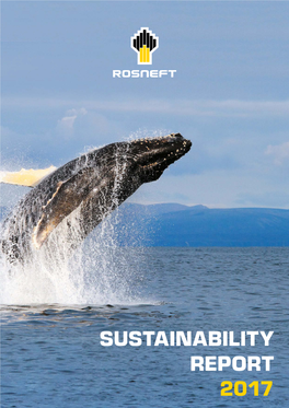 Sustainability Report 2017