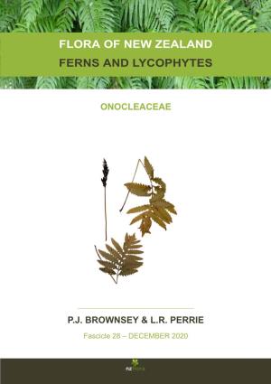 Flora of New Zealand Ferns and Lycophytes Onocleaceae Pj Brownsey