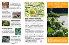 Gold Medal Plants Garden
